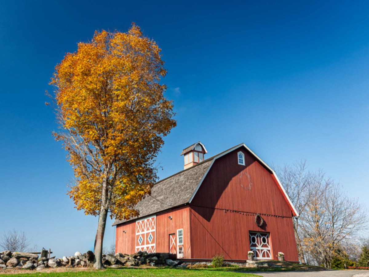 A red barn on a rural property surrounded by open fields, representing farm buildings on a hobby farm.