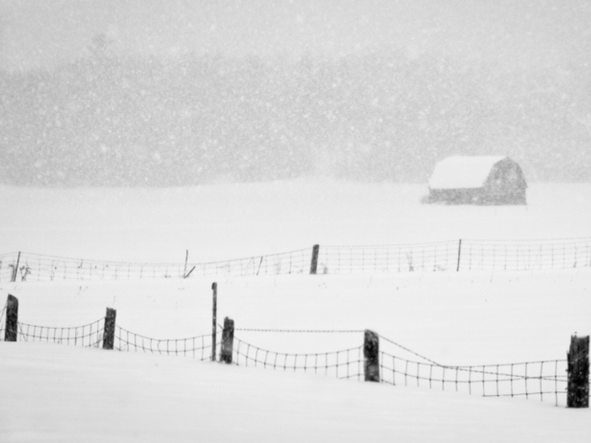 Weathered barn and wire fence on a snow-covered prairie field during heavy snowfall