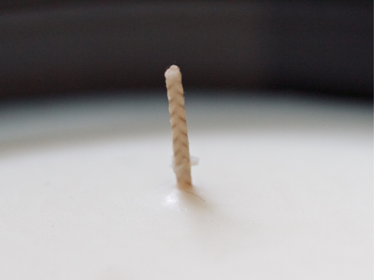 Close-up of a Candle wick centered in smooth white wax