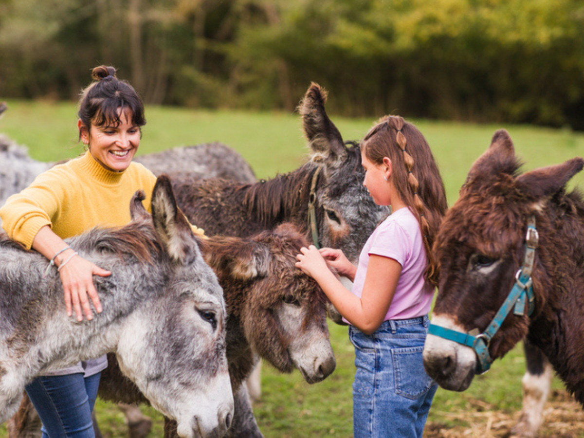 A woman and a young girl interact with several donkeys outdoors on a rural property, highlighting family life, animal care, and a hobby farm setting.