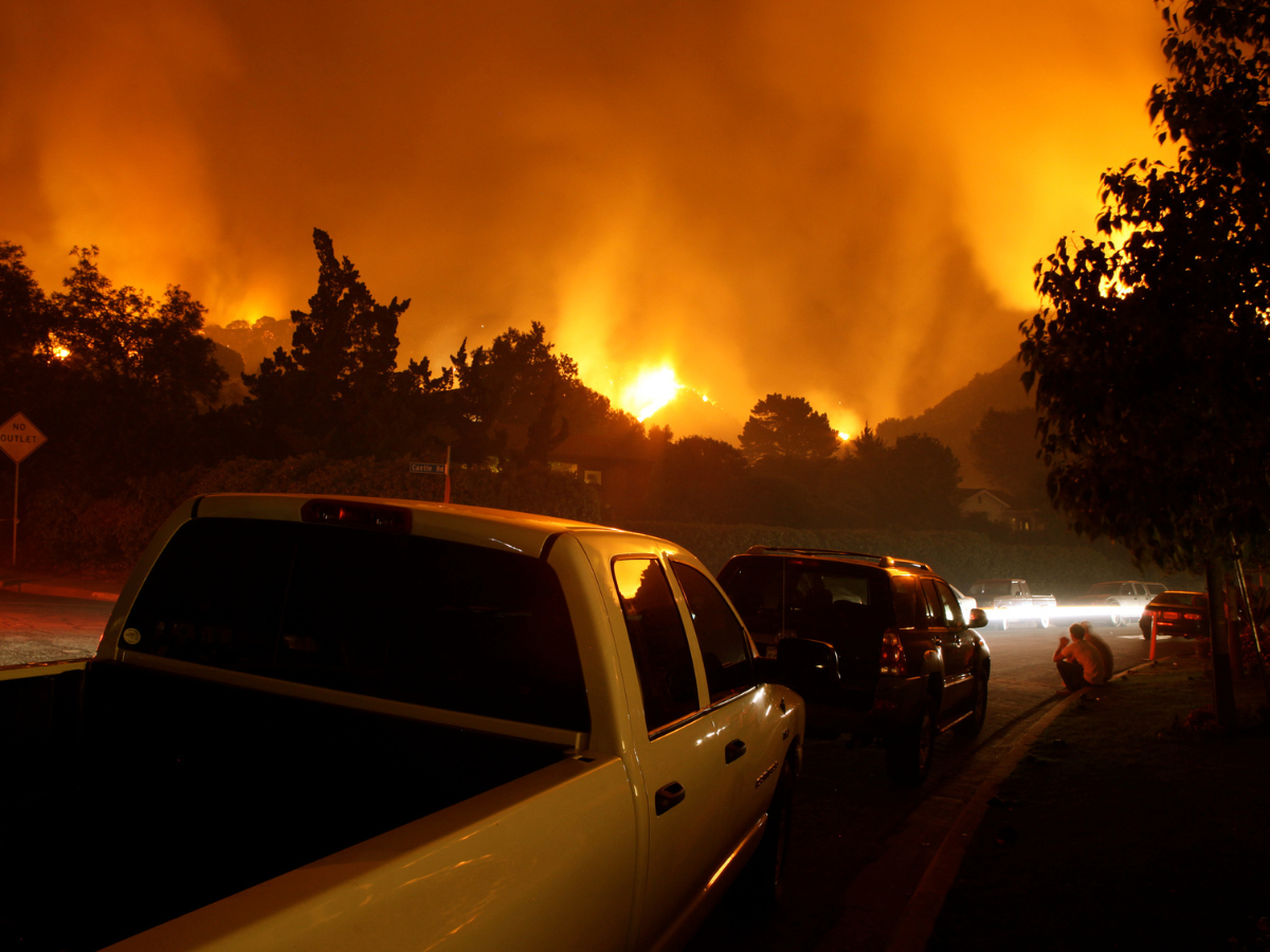 Jasper fire complex
