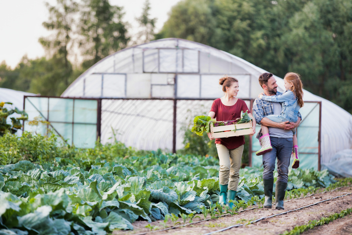 A family walks through a vegetable field on a rural property, carrying harvested produce with a greenhouse in the background, representing hobby farming and rural family life.