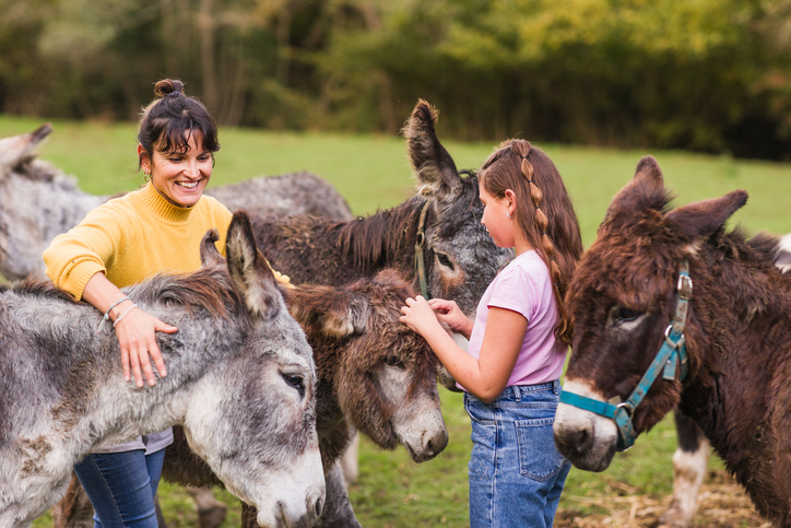 A woman and a young girl interact with several donkeys outdoors on a rural property, highlighting family life, animal care, and a hobby farm setting.