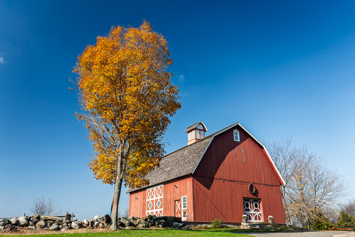 A red barn on a rural property surrounded by open fields, representing farm buildings on a hobby farm.