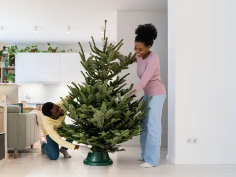 Setting up a tree in a home with property insurance